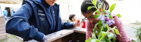 フォーミュラE 2万5000ユーロをインドネシアの気候変動対策プロジェクトに寄付